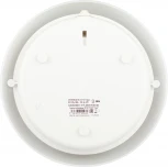 Настенно-потолочный светильник светодиодный ЭРА ДБП 06-12-012 (220V, круглые, IP54)