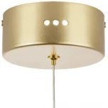 Подвесной светильник Lightstar Acrile 738073 (LED, 220V, на проводе)