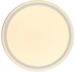 Потолочный светильник Zortes Bella ZRS.1200.04