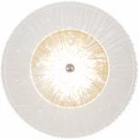 Бра светодиодное Arte Milano AM-1252B 1.1252B.D150.H150.LED Ni (220V, круглые)