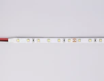 Светодиодная лента Ambrella Illumination GS3001 2835 60Led 6W/m 24V IP20 3000K 5m