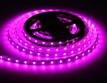 Светодиодная лента RGB с дневным белым светом Ambrella Illumination Led Strip 24V GS4402 5050 60Led /10W m/ 24V IP20 RGBW+4500K 5m
