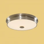 Потолочный светильник Citilux Фостер-2 CL706231