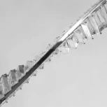 Подвесной светильник MW-Light Гослар 498016801 498017101