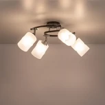 Потолочная люстра Citilux Сиерра CL119241 (220V)