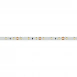 Светодиодная лента Arlight RT 2-5000 015697