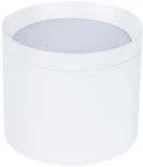 Накладной светильник потолочный Favourite Rote 4708-1C (220V, круглые)