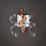 Бра Citilux Рандом CL222322 (220V)