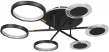 Потолочная люстра на штанге Megan 10164S Black (LED, 220V, круглые, кольцо)