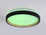 Потолочный светильник RGB круглый светодиодный с пультом Ambrella ORBITAL FZ604 (220V, круглые)
