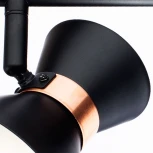 Спот на штанге Arte Lamp Baltimore A1406AP-2BK (220V, круглые)