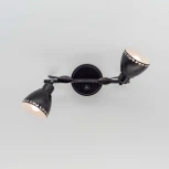 Спот Citilux Робуста CL509522