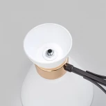 Потолочная люстра на штанге Imex MD.5692-4-S-COFFEE+FGD