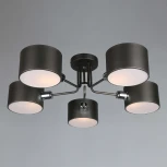 Потолочная люстра Omnilux Liser OML-54507-05 (220V)