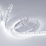 Светодиодная лента RT-A120-8mm 24V White6000 (14.4 W/m, IP20, 2835, 5m) (Arlight, Открытый) 015696(2)