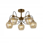 Потолочная люстра Evoluce Acro SLE110002-05