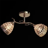 Потолочная люстра на штанге Reluce 03173-0.3-02 (220V)