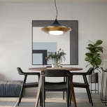 Подвесной светильник Rask ImperiumLoft Rask01 (151756-26) (LED, 220V, на тросе)