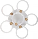 Потолочная люстра светодиодная с ДУ Ritter Ottimo 51639 6