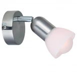 Спот Arte Lamp Falena A3115AP-1SS