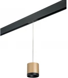 Трековый светильник однофазный 220V Lightstar Rullo PRORP34903487 (круглые)