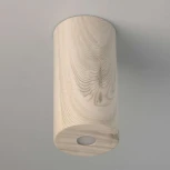 Потолочный светильник круглый DeMarkt Иланг 712010901 (LED, 220V)