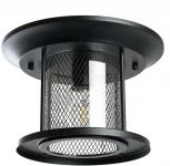 Потолочный светильник Feron Бордо 48387 PL723 60W E27 черный (220V, круглые, IP44)