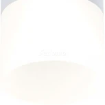 Накладной потолочный светильник Pauline GU10 1x10Вт Maytoni Technical C007CW-01W (220V)