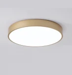 Светильник настенно-потолочный TopDecor Union P2 33 (LED, 220V, круглые)