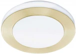 Потолочный светильник светодиодный Eglo Led Carpi 900369