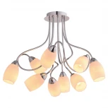 Потолочная люстра Lussole Lgo Toledo LSP-8182 (220V, IP21)