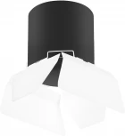 Светильник точечный накладной Lightstar Rullo R3487486 (220V)