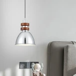 Подвесной светильник Lightera Guaviare LE105L-16C (220V, на проводе, под старину)