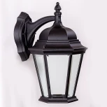 Настенный фонарь уличный Oasis Light 91402L Bl (220V, IP44)