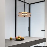 Подвесной светильник Lightera Echuka LE142L-38BR (LED, 220V, на проводе, круглые)