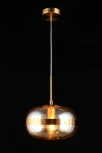 Подвесной светильник Aployt Gabriela APL.305.16.01 (220V, на проводе, шар)