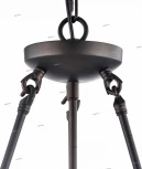 Подвесная люстра Freya Conte FR4166-PL-03C-BL (220V, на цепи)