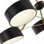 Потолочная люстра на штанге Valle SLE6005-402-03 Evoluce (LED, 220V, пульт управления)