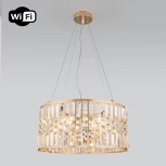 Подвесная люстра Wi-Fi Eurosvet Lory 10125/5 золото/прозрачный хрусталь Strotskis Smart (10116/5) (220V, управление смартфоном, голосовое управление, умный дом - Minimir Home, на тросе, круглые)