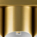 Потолочная люстра Lightstar Siena 720402 (220V, круглые)