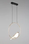 Подвесной светильник Aployt Astor APL.822.06.10 (LED, 220V, на тросе, кольцо, птички)
