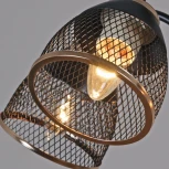 Потолочная люстра на штанге Reluce 01505-0.3-05 BK+FGD (220V)