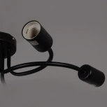 Потолочная люстра Reluce 01742-0.3-06 BK (220V)