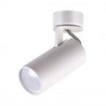 Спот Odeon Light Corse 3873/1C (220V, круглые)