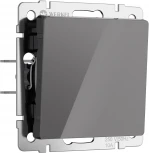 Выключатель одноклавишный (графит акрил) Werkel W1110044 (a064074)