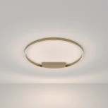 Потолочный светильник Maytoni Rim MOD058CL-L50BS4K