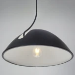 Подвесной светильник Zortes Korkee ZRS.1802.50 (220V, IP21)