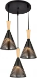 Подвесной светильник Wedo Light Adrien WD3603/3P-BK