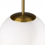 Подвесной светильник Freya Sharlot FR1012PL-01BS1 (220V, на проводе)