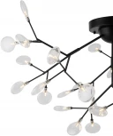 Люстра потолочная Florencia FR5049CL-36B